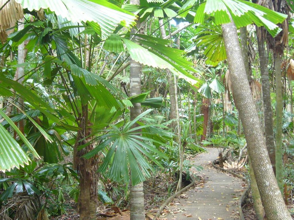 Port Douglas Retreat Luaran gambar