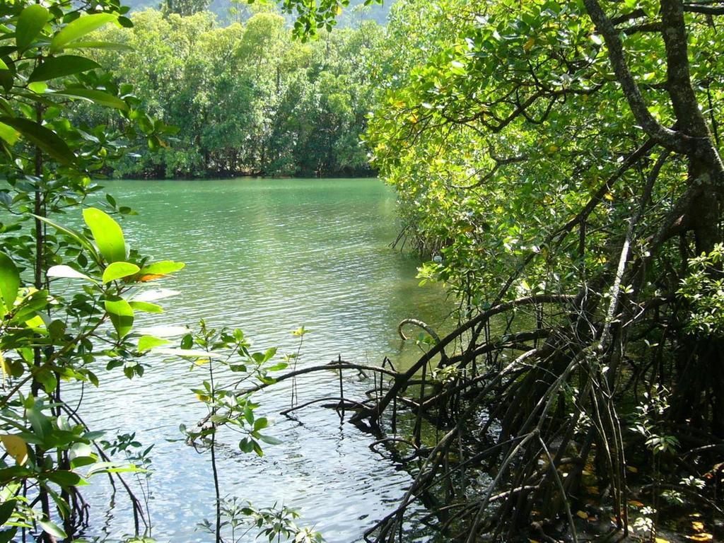 Port Douglas Retreat Luaran gambar